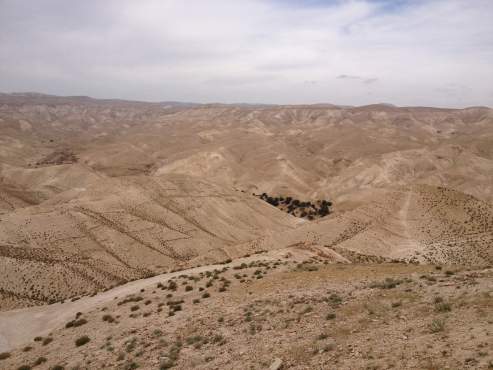 Negev-sivatag